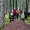 09 b Schluchensteig Etappe 4 - 6